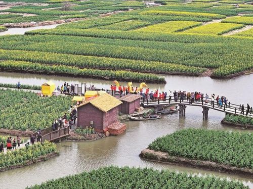 中国文明网联盟 泰州站