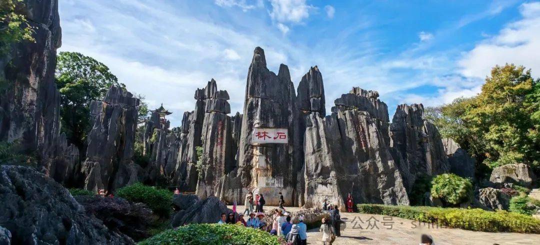 高考生福利来袭！6月10日至8月31日免费畅游石林三大景区