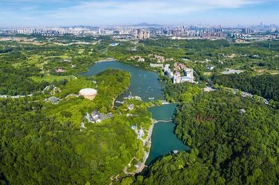 草地露营、国潮音乐节、少儿音乐汇 南京珍珠泉度假区假期精彩纷呈，尽显卓越园区管理服务