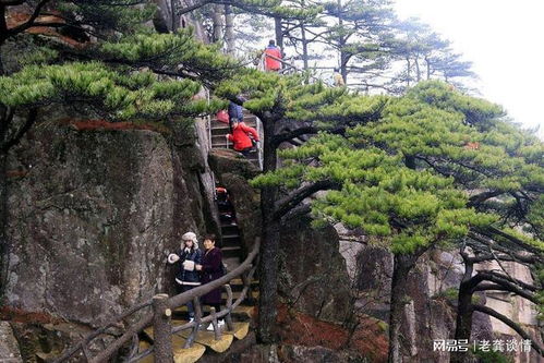 三十八岁未婚女性的人生新篇章 在自我探索与景区管理中寻找平衡