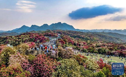 诗意中国丨春日上春山 文旅融合背景下的景区管理新思考